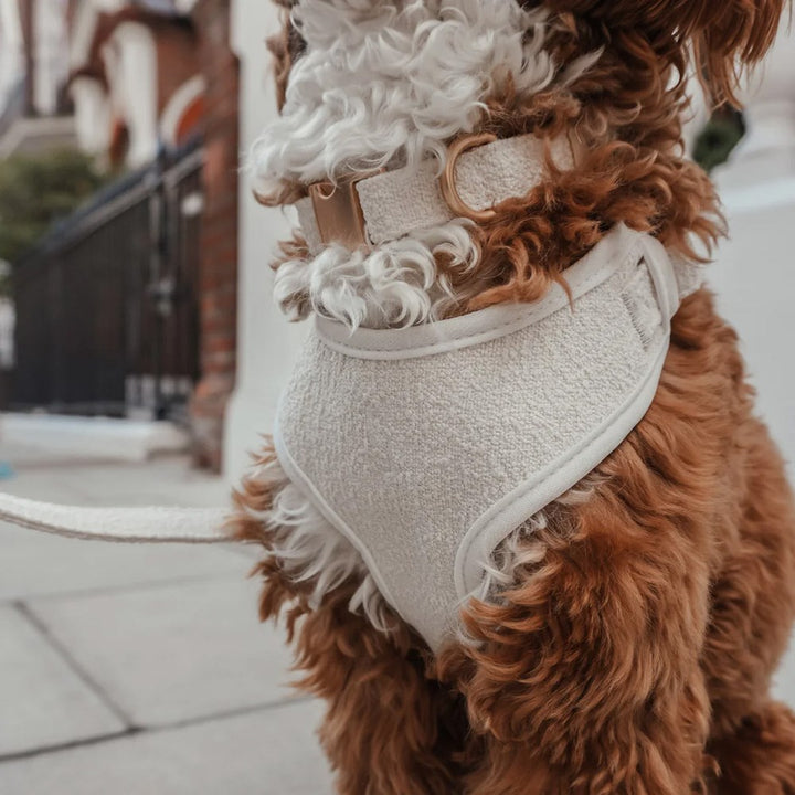 ByTeddy Marshmallow┃Bouclé Adjustable Harness