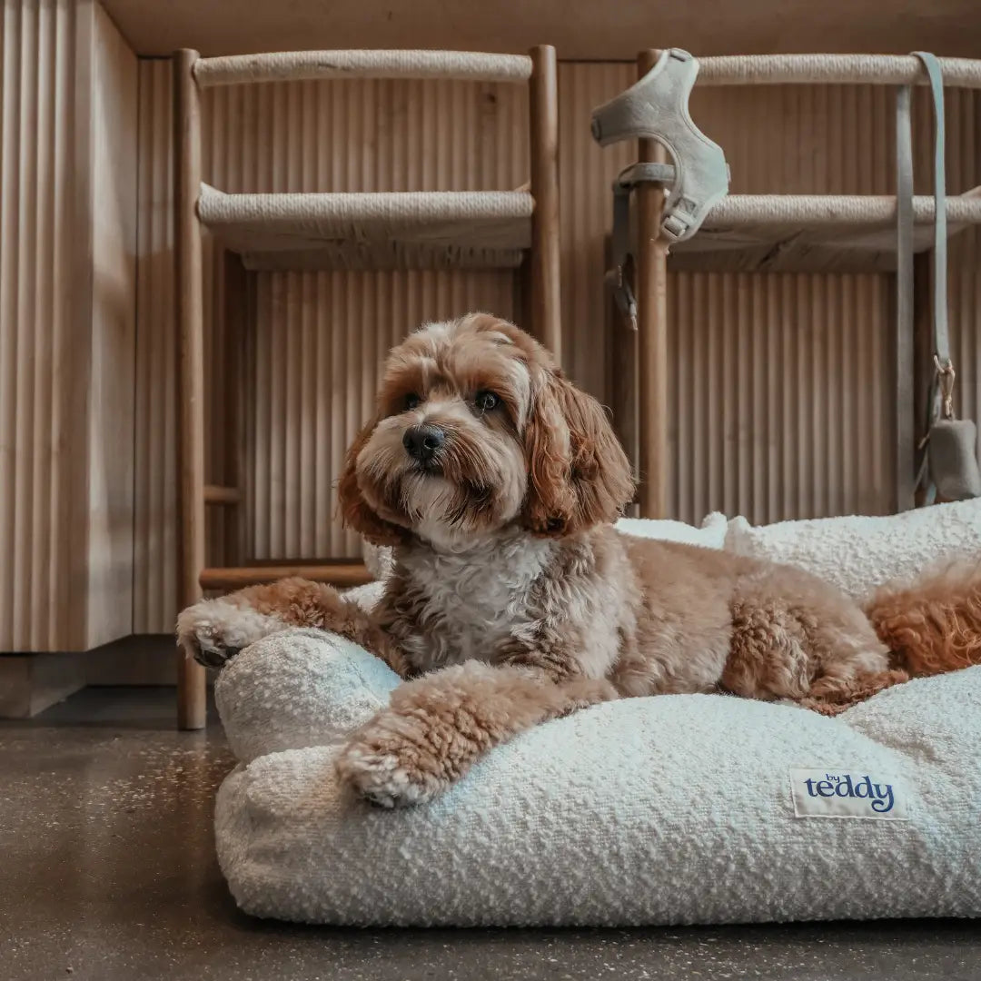 ByTeddy The Teddington Sofa