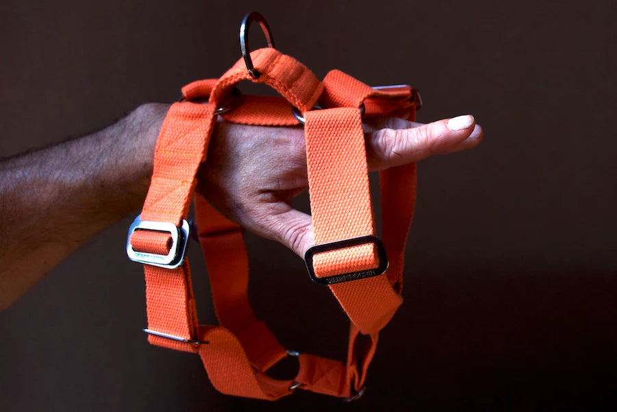 Hindquarters Orange Dog Harness