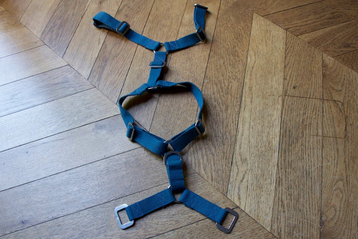 Hindquarters Puddle Blue Dog Harness