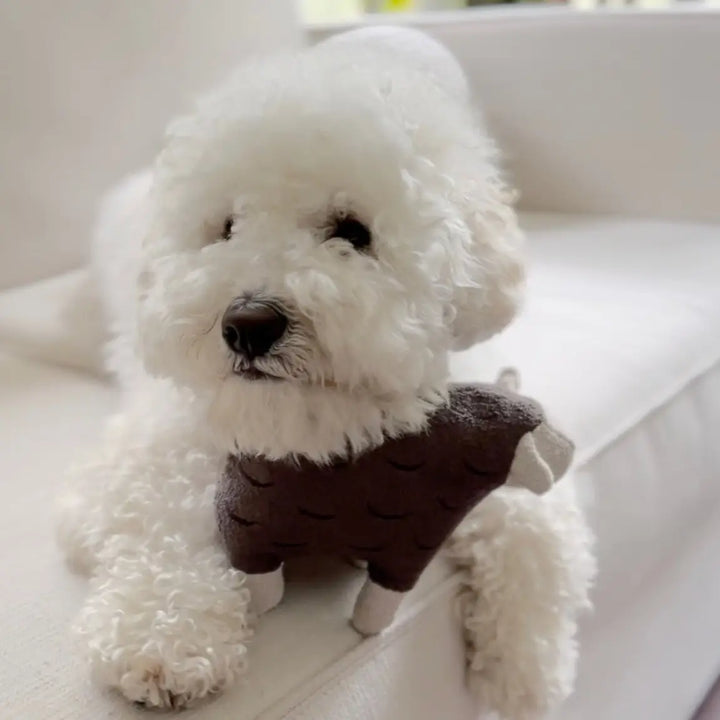 Barry // Squeaker Toy