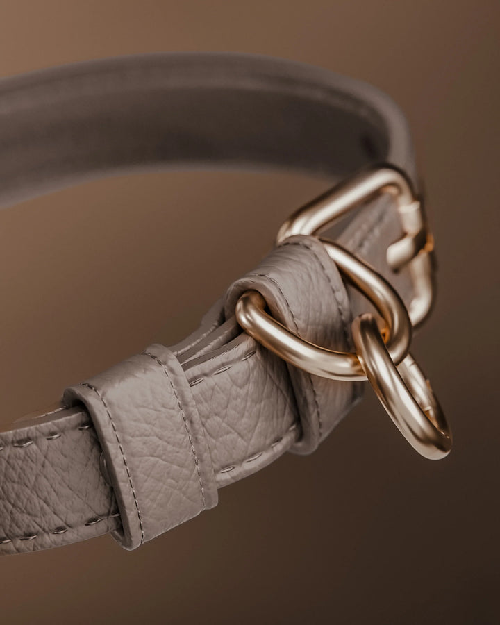ByTeddy Hazelnut┃Studio Collar