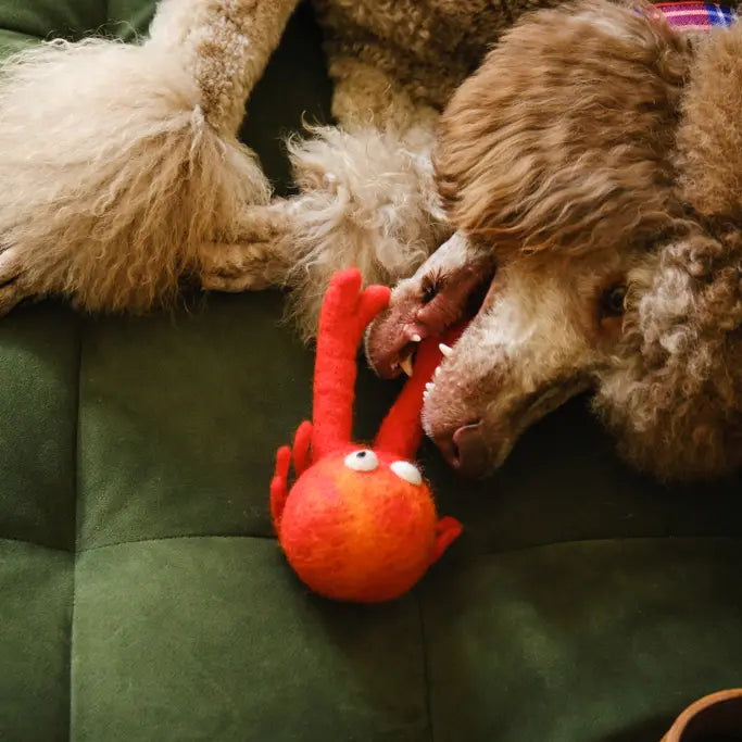 Clifford Crab Felted Dog Toy