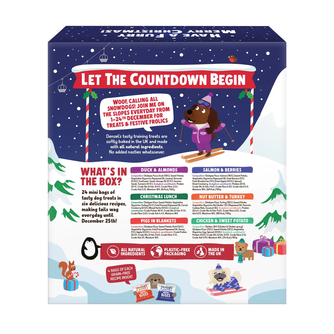 Christmas Advent Calendar For Dogs