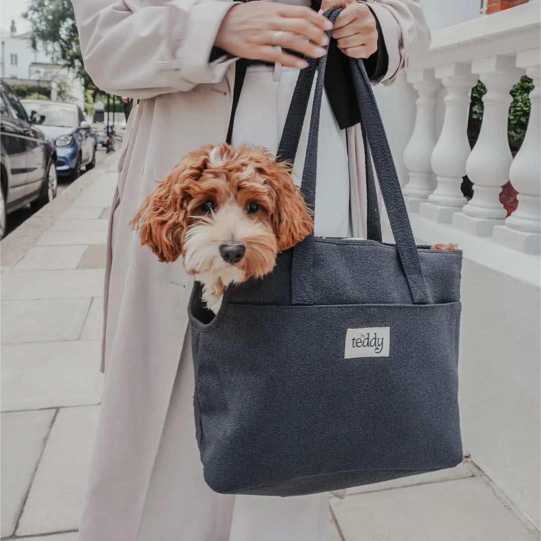ByTeddy Midnight┃the Bouclé Carrier
