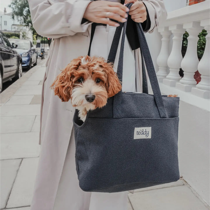 ByTeddy Midnight┃the Bouclé Carrier