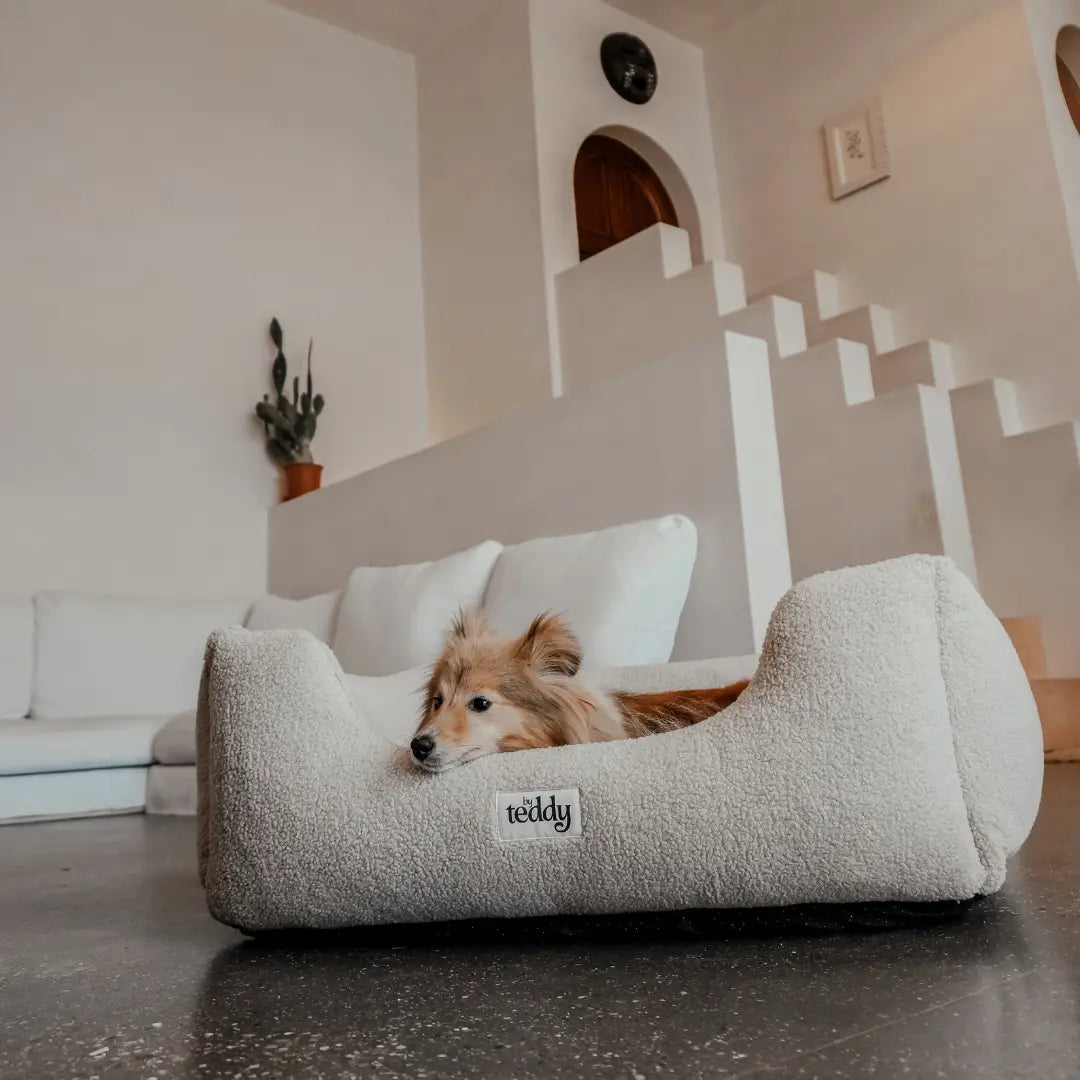By Teddy The Cosy Bed