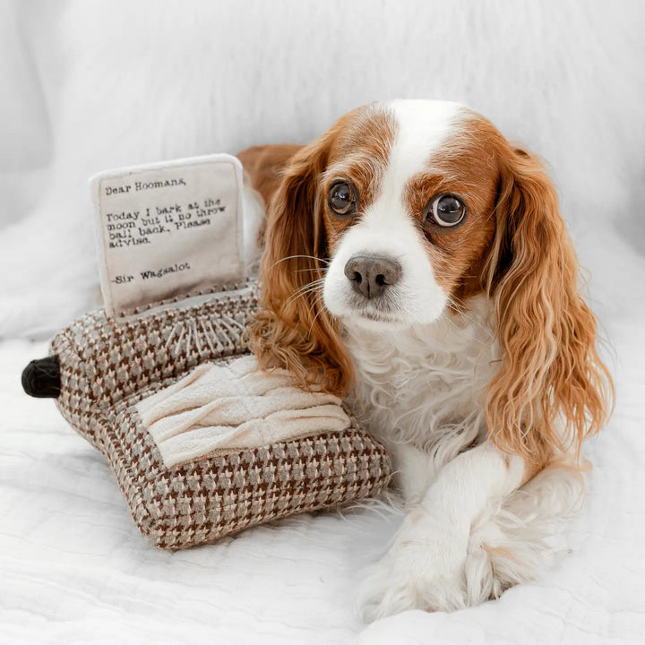 Typewriter//Enrichment Dog Toy