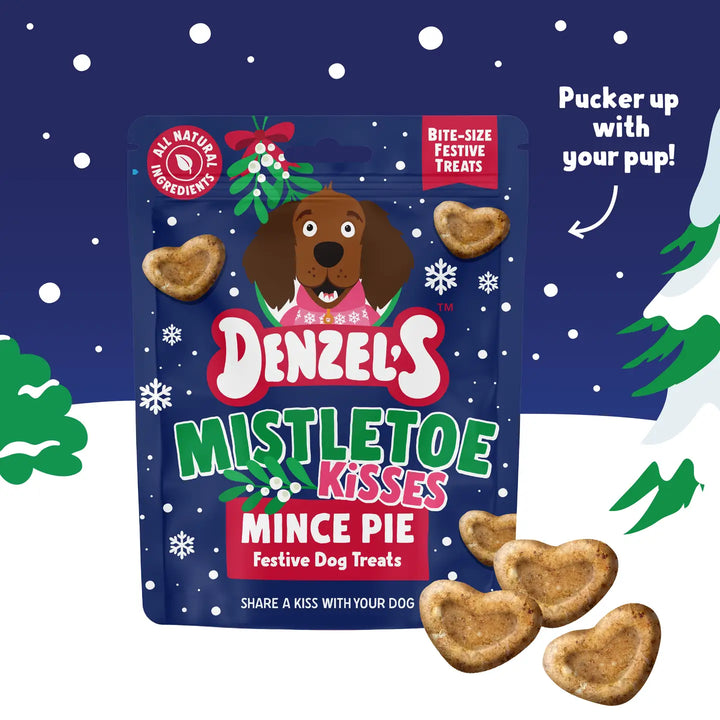 Vegan! Denzel’S Mistletoe Kisses - Mince Pie Dog Treats