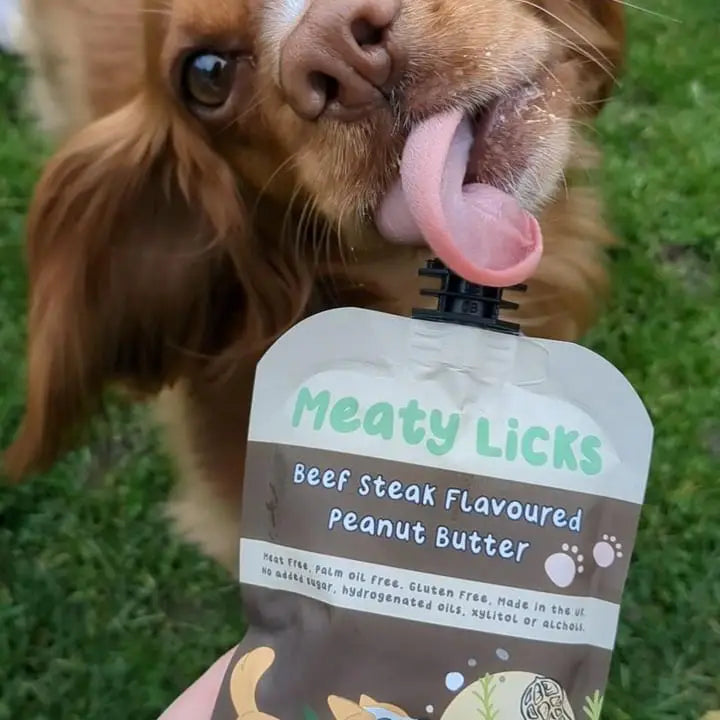 Roast Beef Flavoured  Peanut Butter Pouch For Dogs