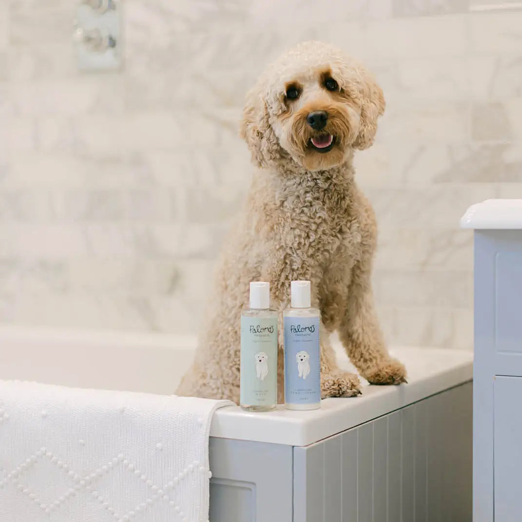 Paloma’s Canine Care Conditioner