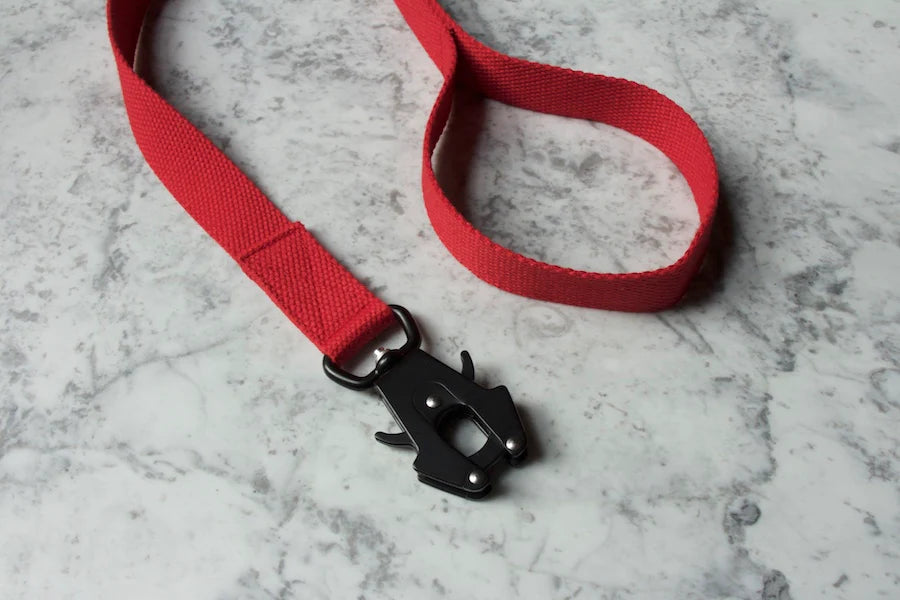 Hindquarters Red Lead