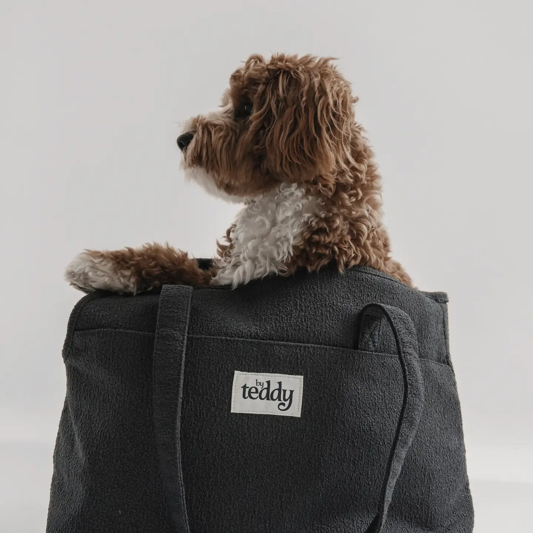 ByTeddy Midnight┃the Bouclé Carrier