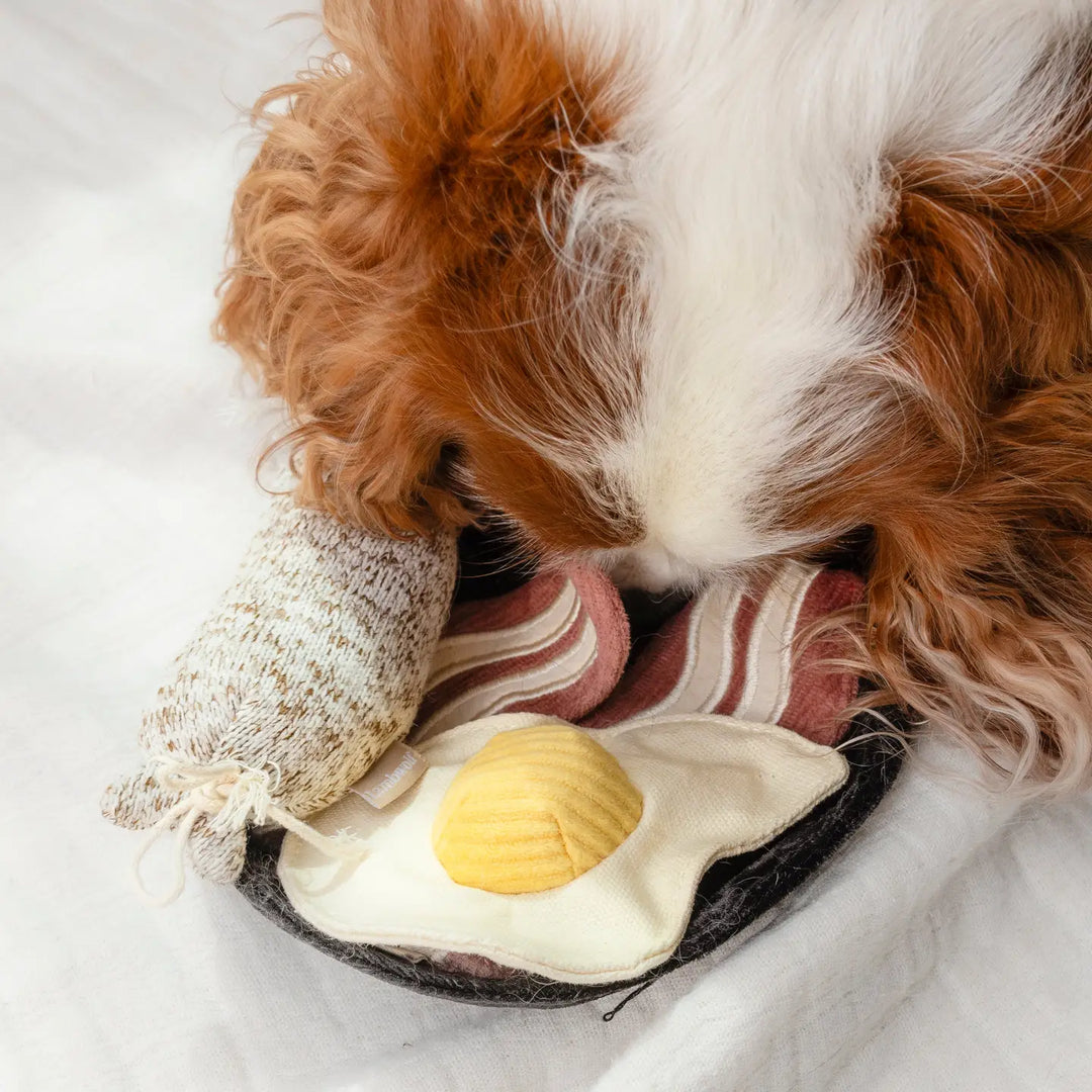 Breakfast Set //Enrichment Dog Toy
