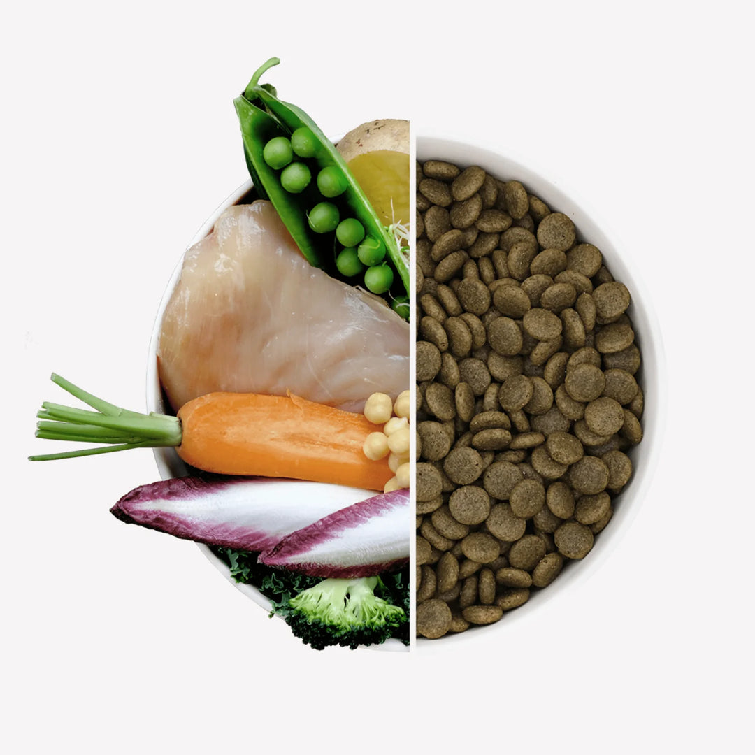 BECO Free Range Chicken Dry Food with Carrot & Chicory 2kg
