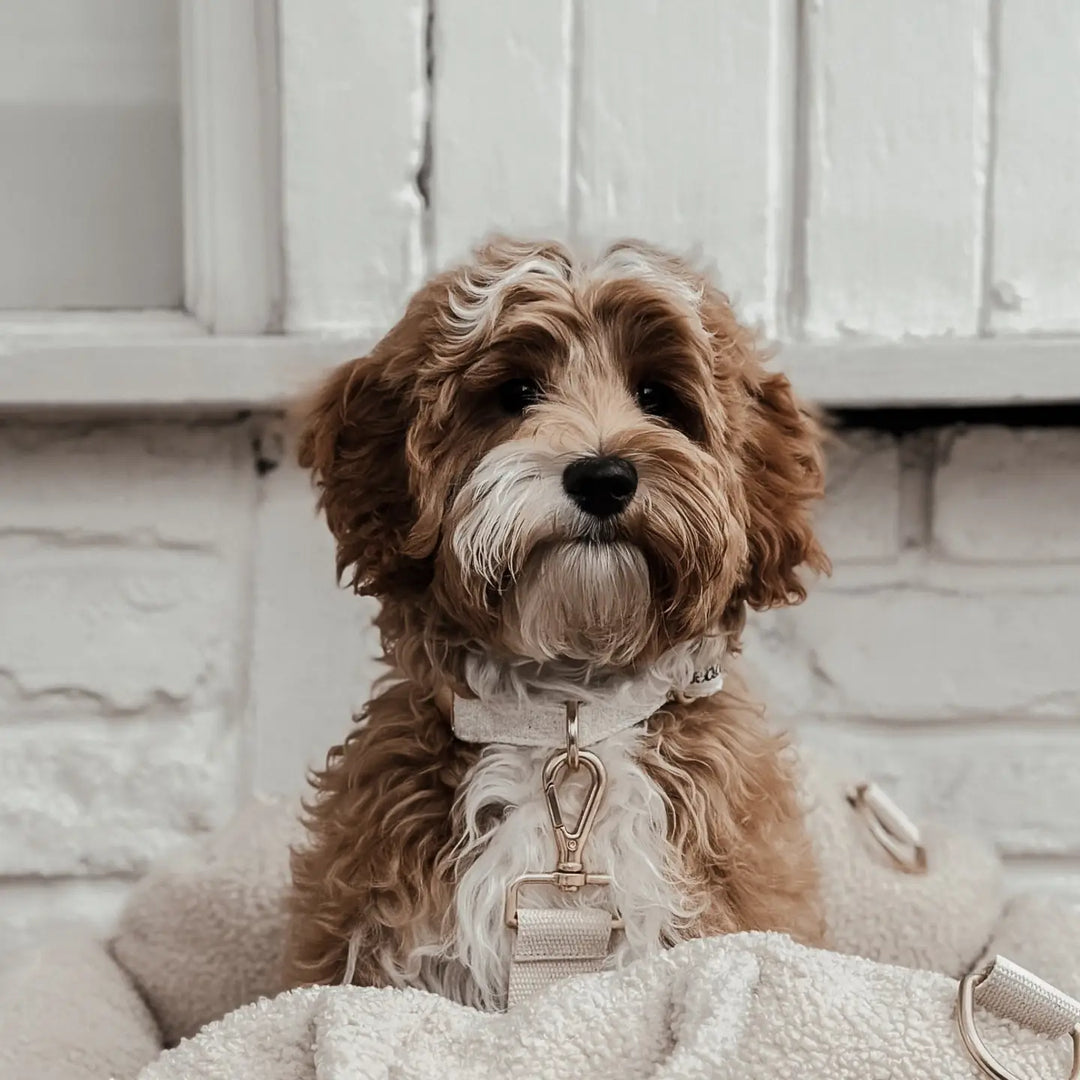 ByTeddy Marshmallow Bouclé Collar