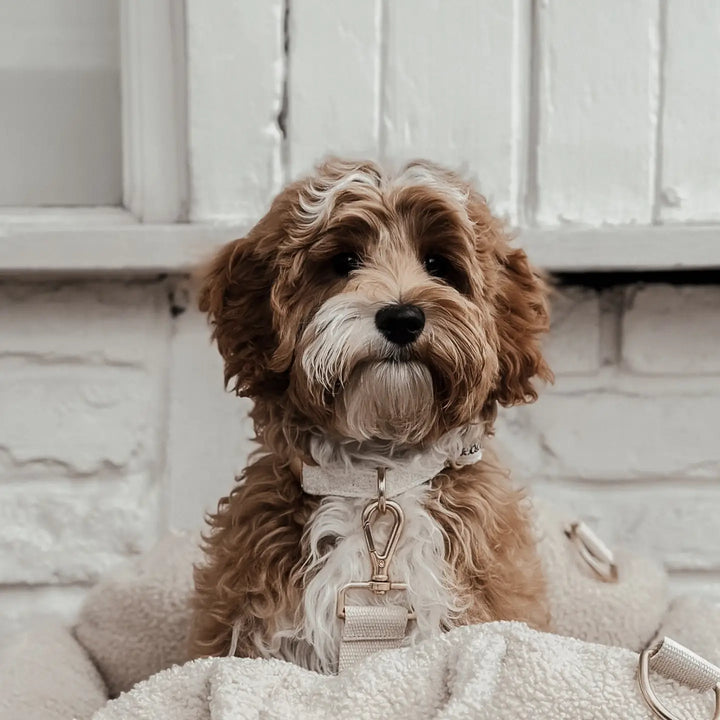 ByTeddy Marshmallow Bouclé Collar