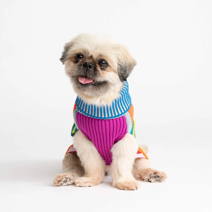 Rainbow Pattern Patch Dog Sweater