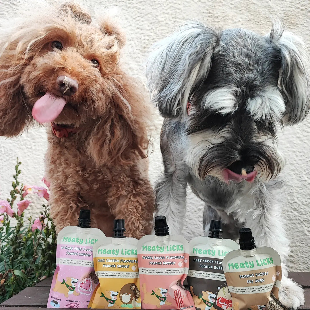 Birthday Cake Flavoured Peanut Butter Pouch For Dogs