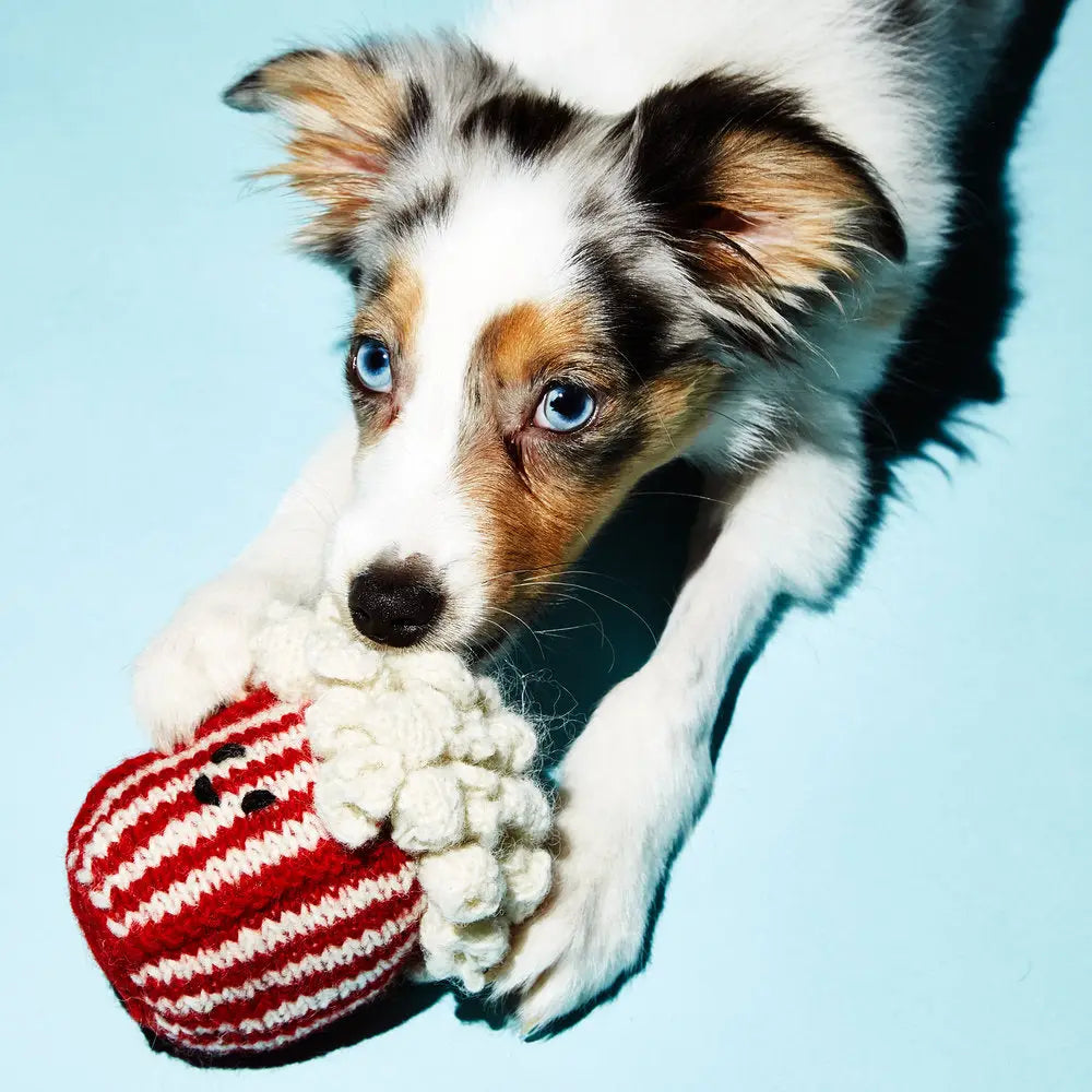 Hand Knit Pop Corn Dog Toy