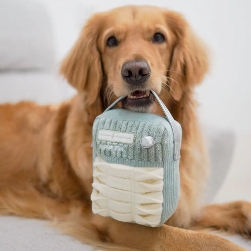 Woof Fm//Enrichment Dog Toy