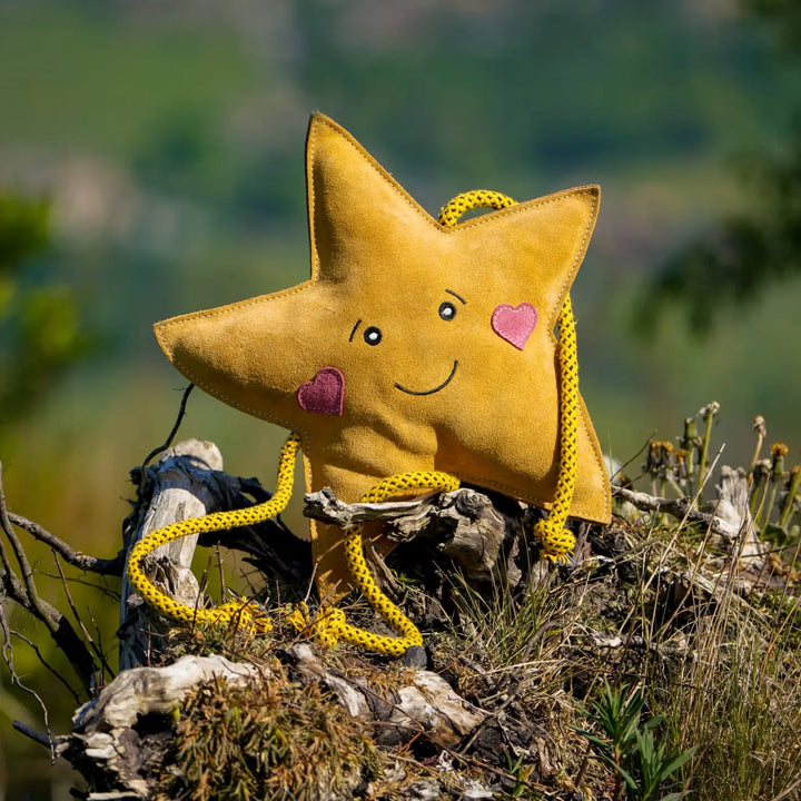 Star XL Dog and Horse Eco Toy