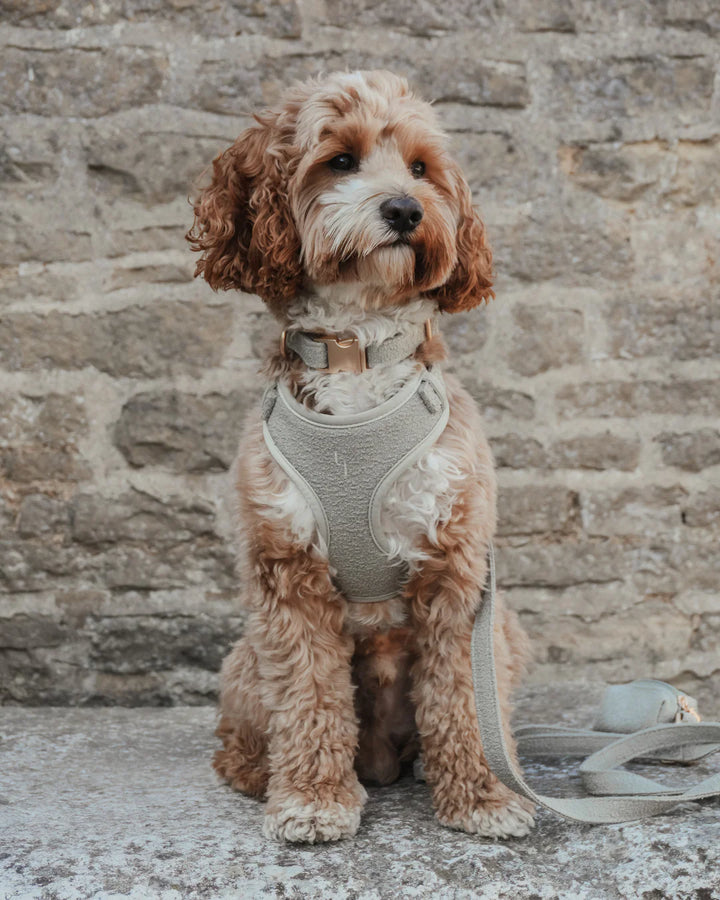 ByTeddy Matcha┃Bouclé Adjustable Harness