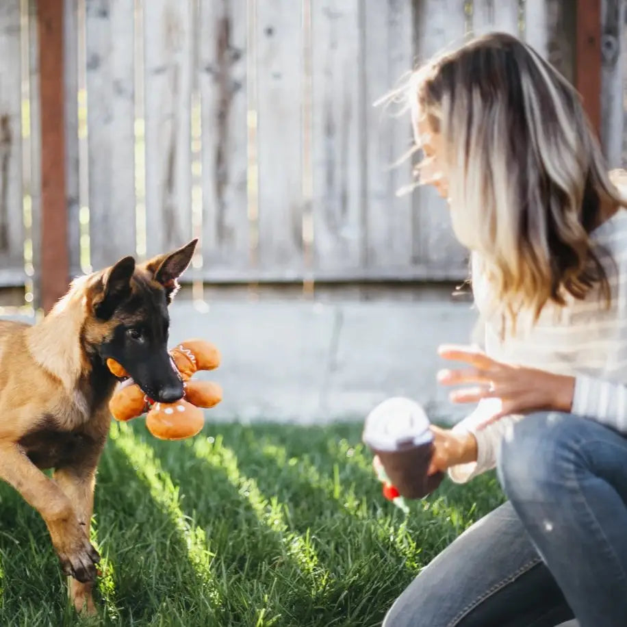 Christmas Gingerbread Man Plush Toy