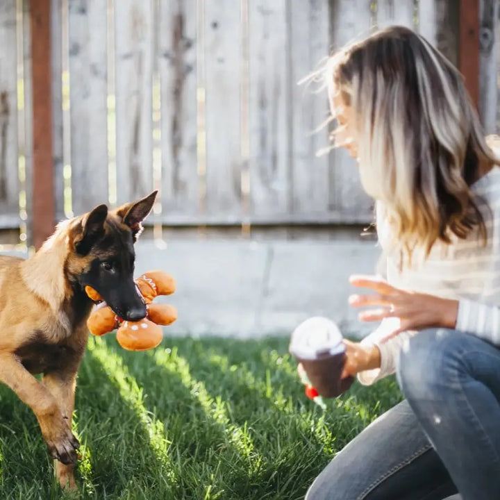 Christmas Gingerbread Man Plush Toy