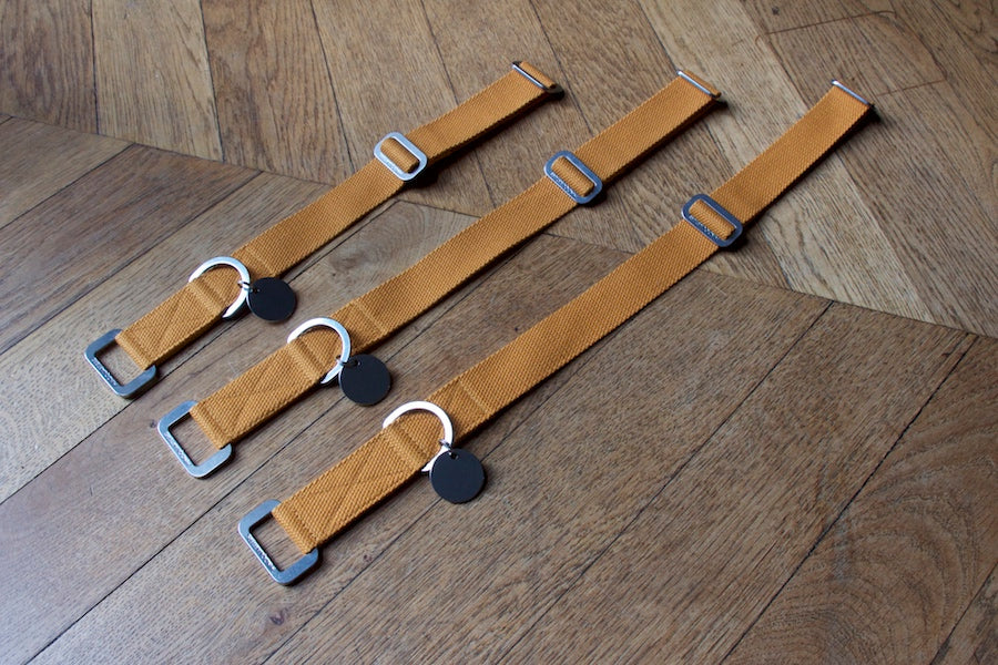 Hindquarters Mustard Dog Collar