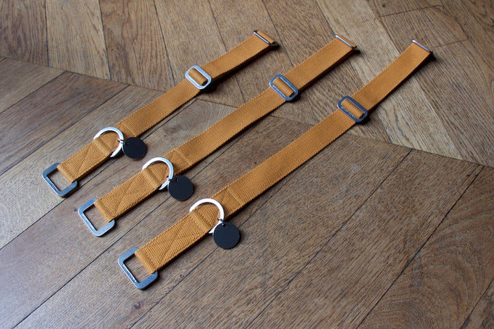 Hindquarters Mustard Dog Collar