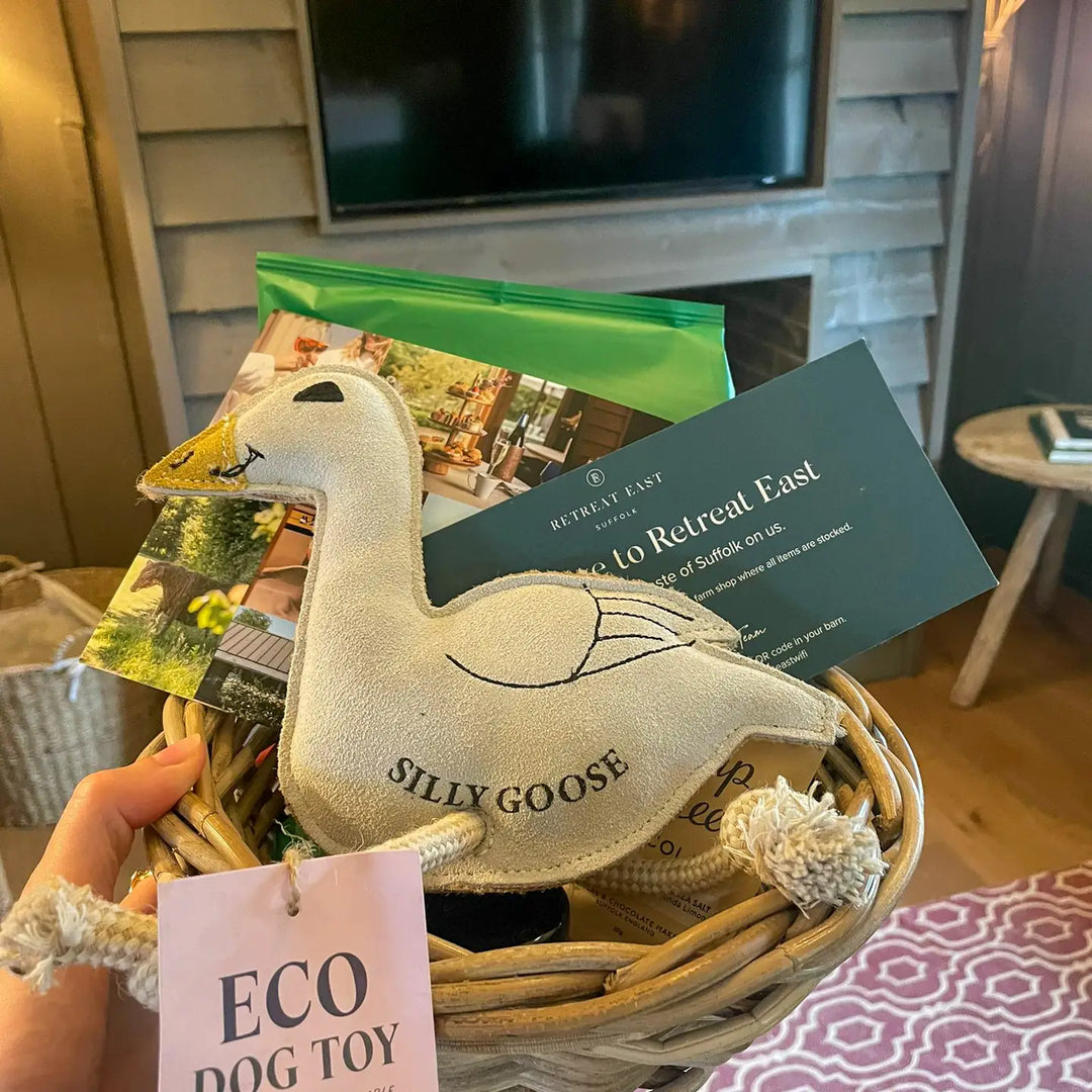 Silly Goose Eco Dog Toy