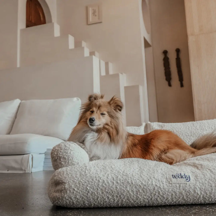 The Teddington Sofa medium