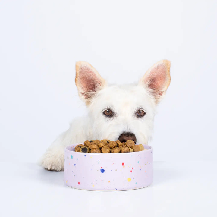 Lilac Dog Bowl Small