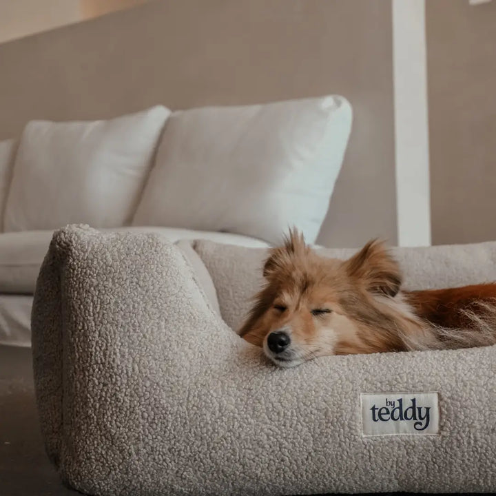 By Teddy The Cosy Bed
