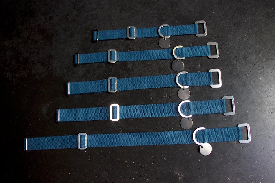 Hindquarters Puddle Blue Dog Collar