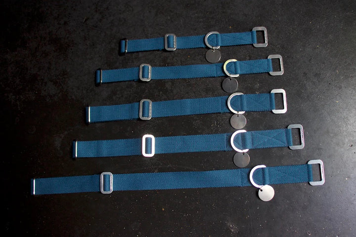 Hindquarters Puddle Blue Dog Collar