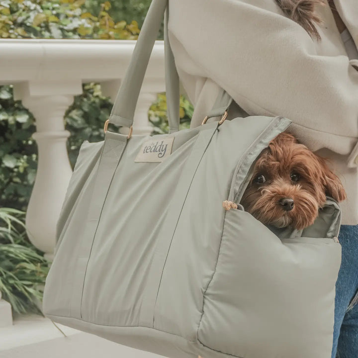 ByTeddy Matcha┃the Puffer Carrier