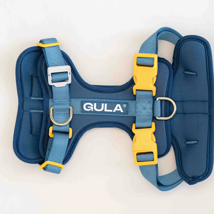 Dog Harness New - Bleu & Yellow M