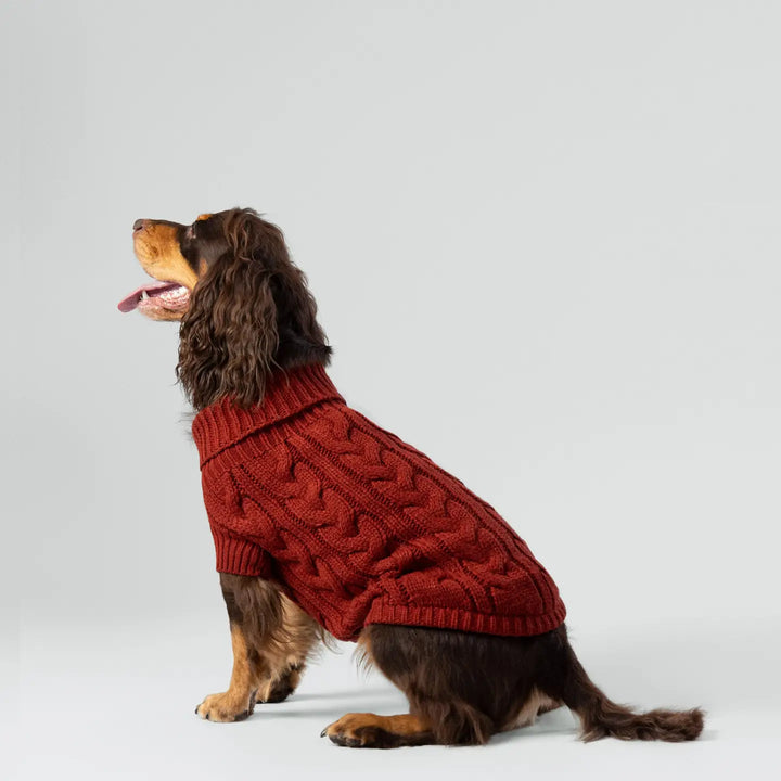 Hackett X Hugo Hudson Cable Knit Pullover Dog Jumper - Brick