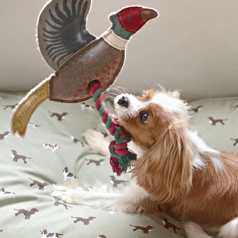 Pheasant Dog Toy