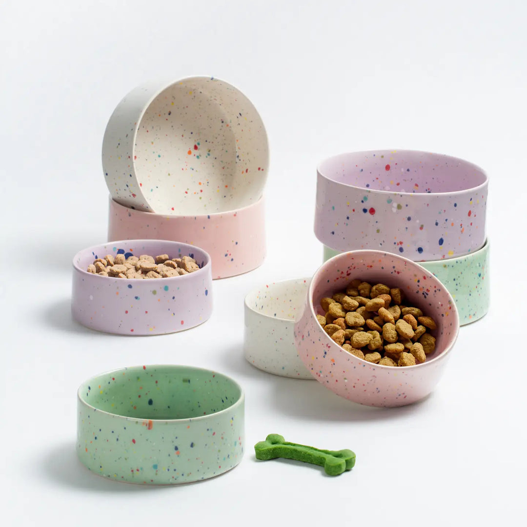 Green Dog Bowl Medium