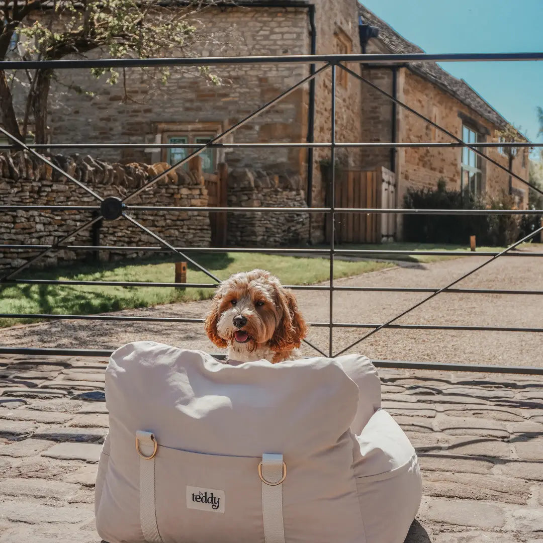 ByTeddy The Puffer Car Seat