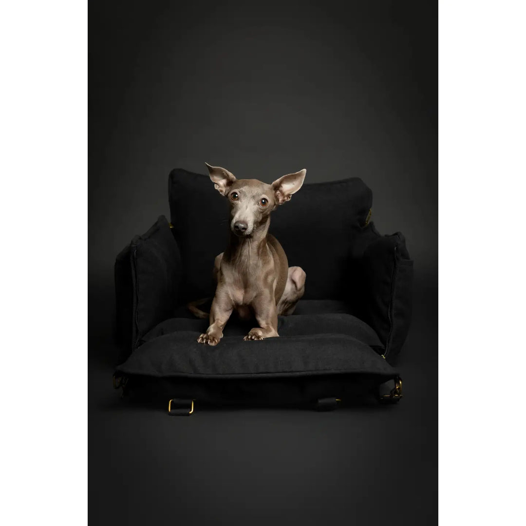Dog Car Seat Carrier Orthopedic Crushed Foam, Black, Canvas