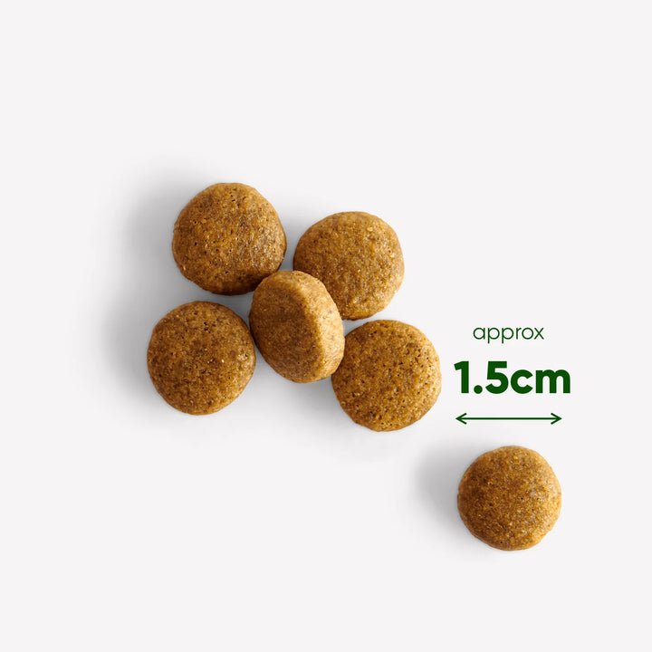 BECO Wild Boar Dry Food with Pumpkin & Broccoli 2kg