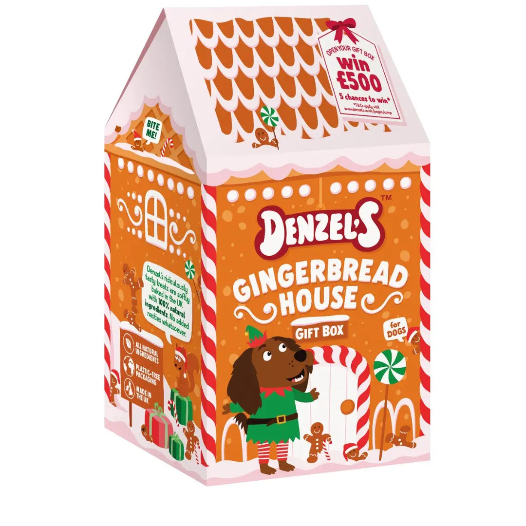 Denzel’S Gingerbread House Gift Box For Dogs