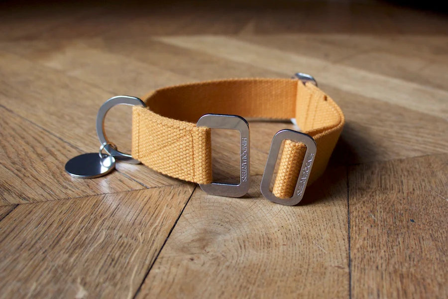 Hindquarters Mustard Dog Collar