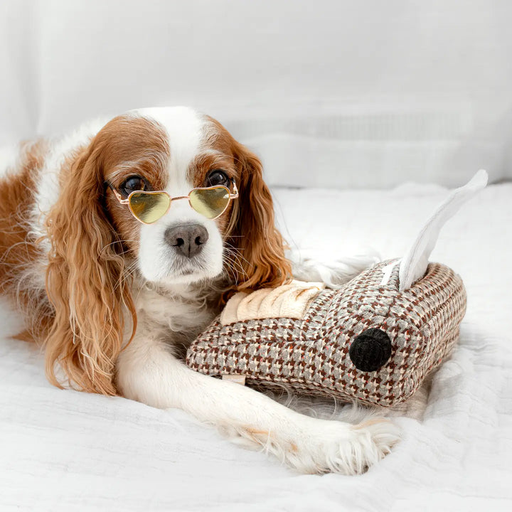 Typewriter//Enrichment Dog Toy