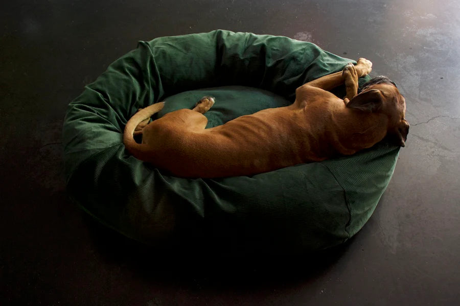 Hindquarters Medium Dog Bed