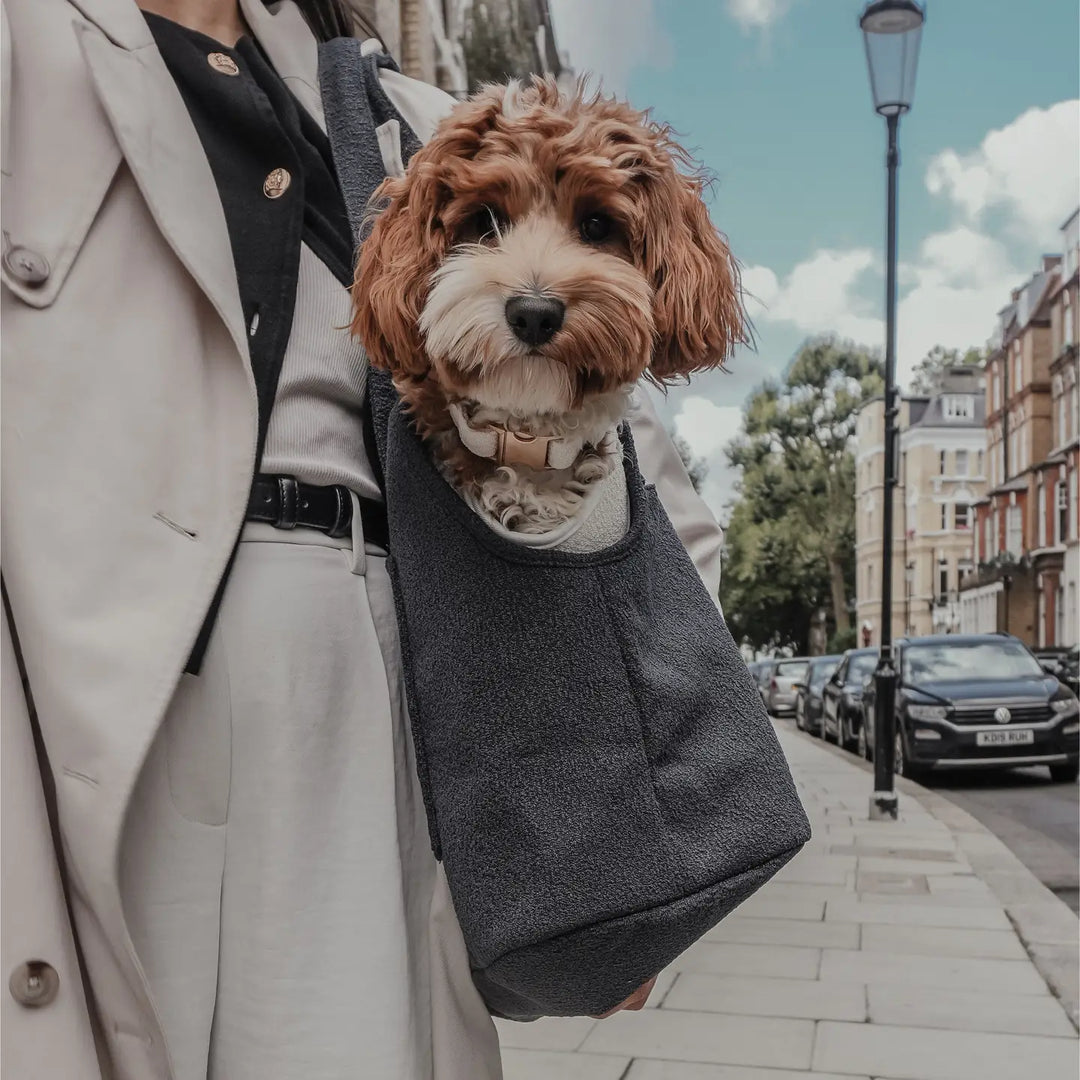 ByTeddy Midnight┃the Bouclé Carrier
